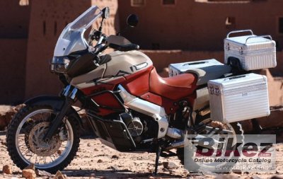 2005 aprilia caponord rally raid photo